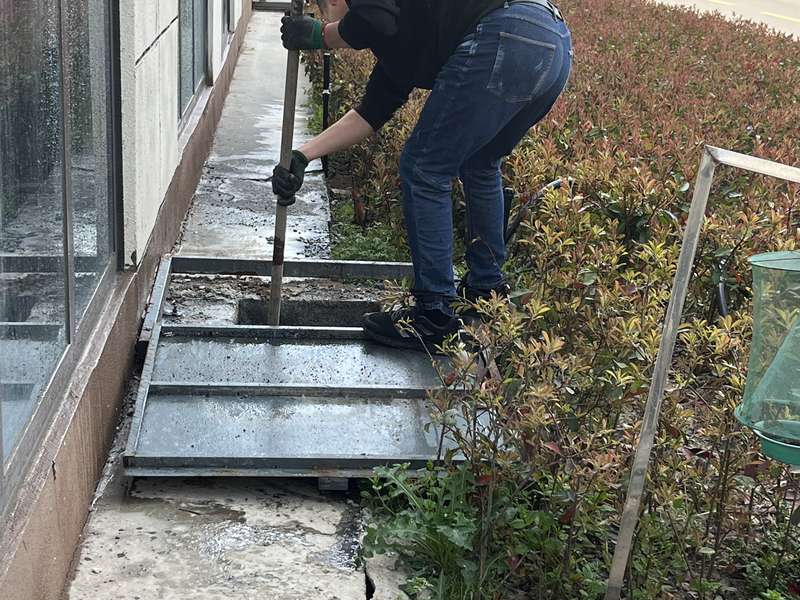 某某某小区公共区域日常保洁,保洁员清扫道路、广场,维持社区整洁环境。